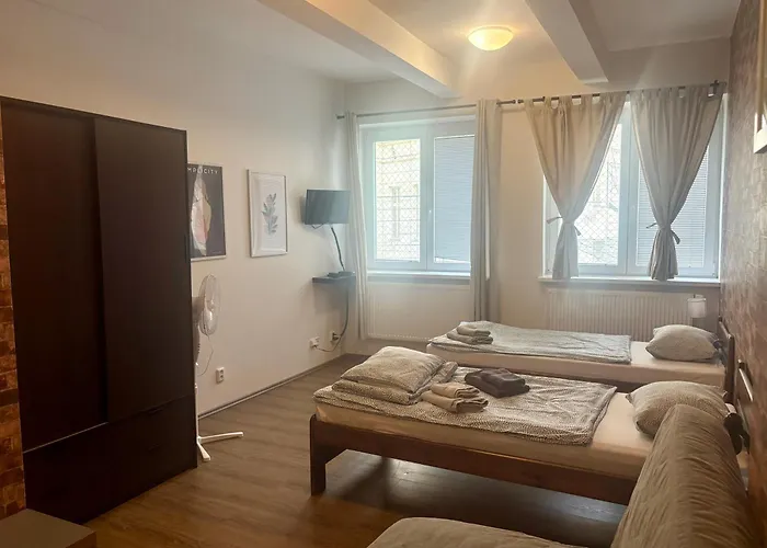 Zizkov Cosy Studio Apartments
