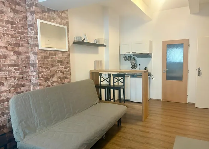 Zizkov Cosy Studio Apartments